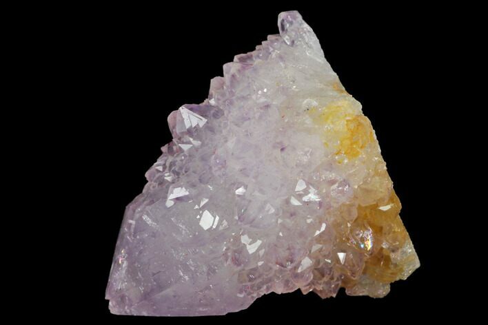 Cactus Quartz (Amethyst) Crystal - South Africa #132461